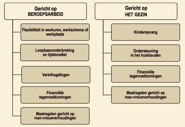 Figuur 1: Ordening van beleidsmaatregelen inzake de combinatie van arbeid en gezin.