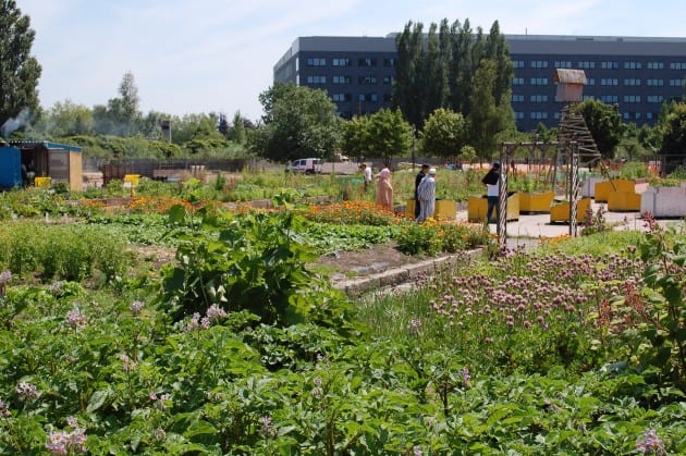 SITE-project, volkstuinen Rabotwijk Gent 