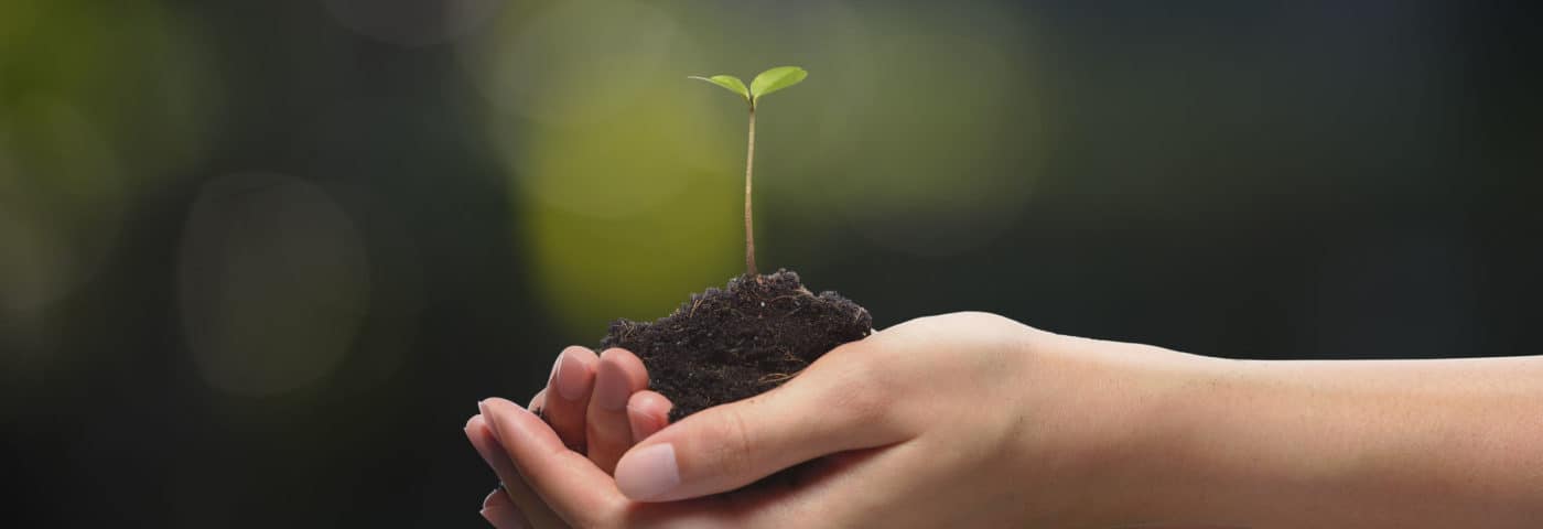 Nieuwe professional in zorg en ondersteuning