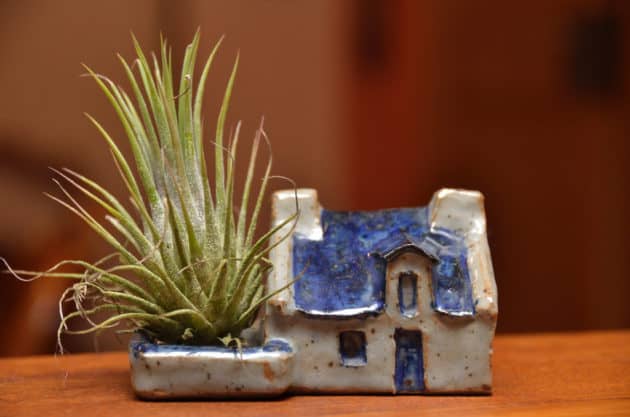 Discriminatie op de huurmarkt