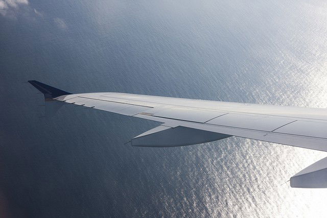 vrijwillige terugkeer