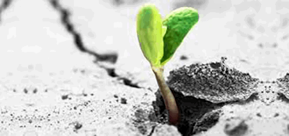 spiritualiteit en hulpverlening