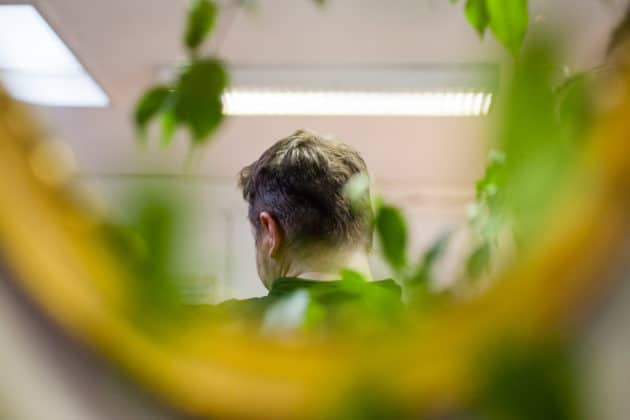 geestelijke gezondheidszorg