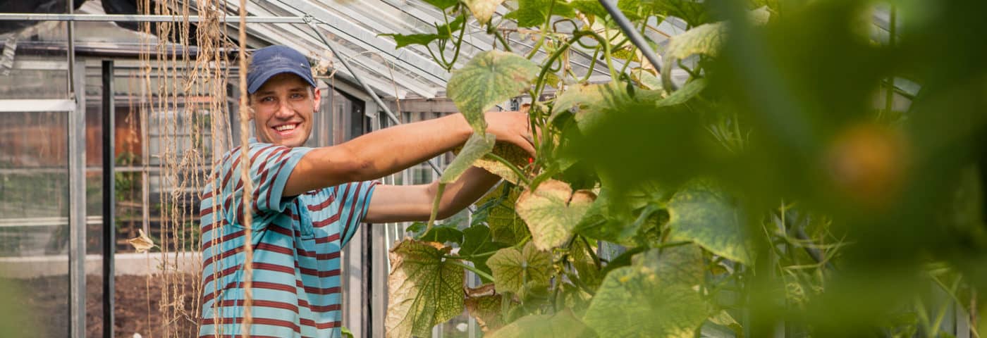 Atelier Groot Eiland