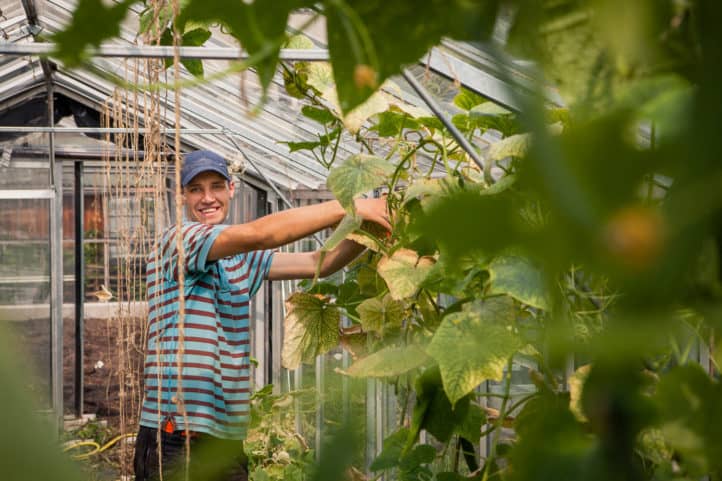 Atelier Groot Eiland