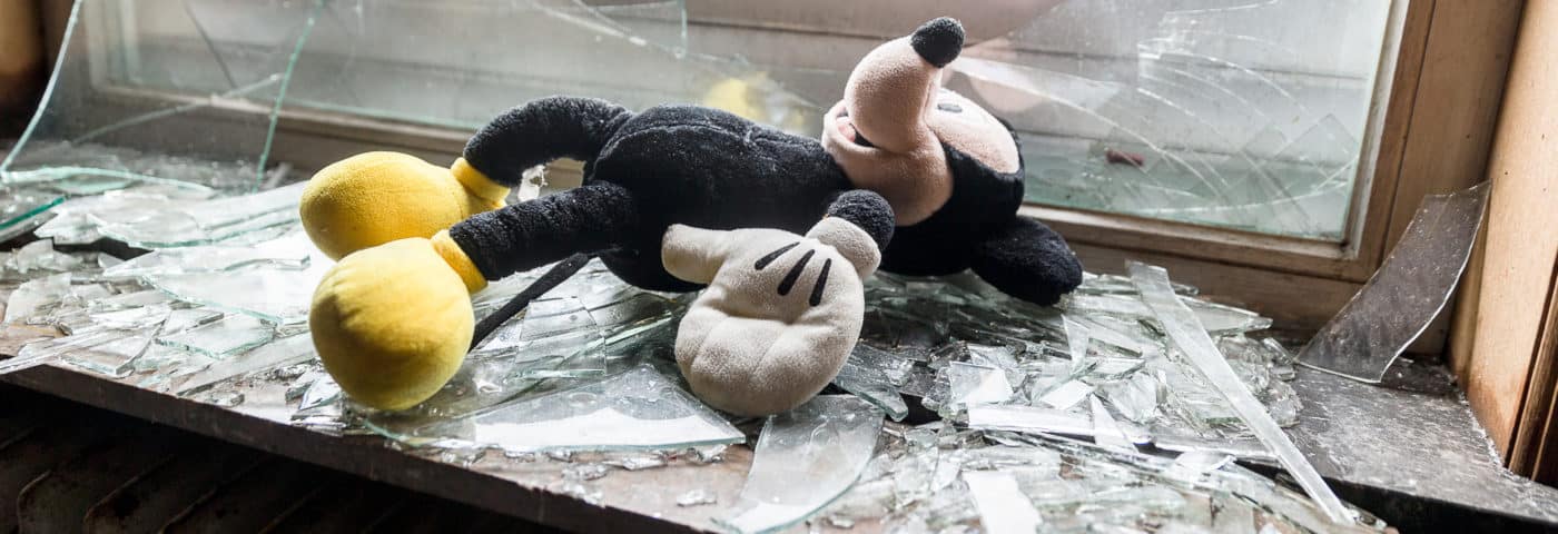 vermaatschappelijking