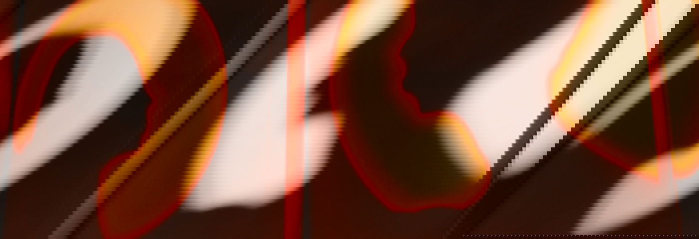 psychische kwetsbaarheid