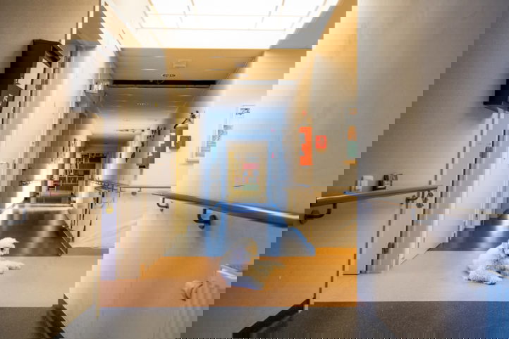 woonzorgcentra_arbeidsorganisatie