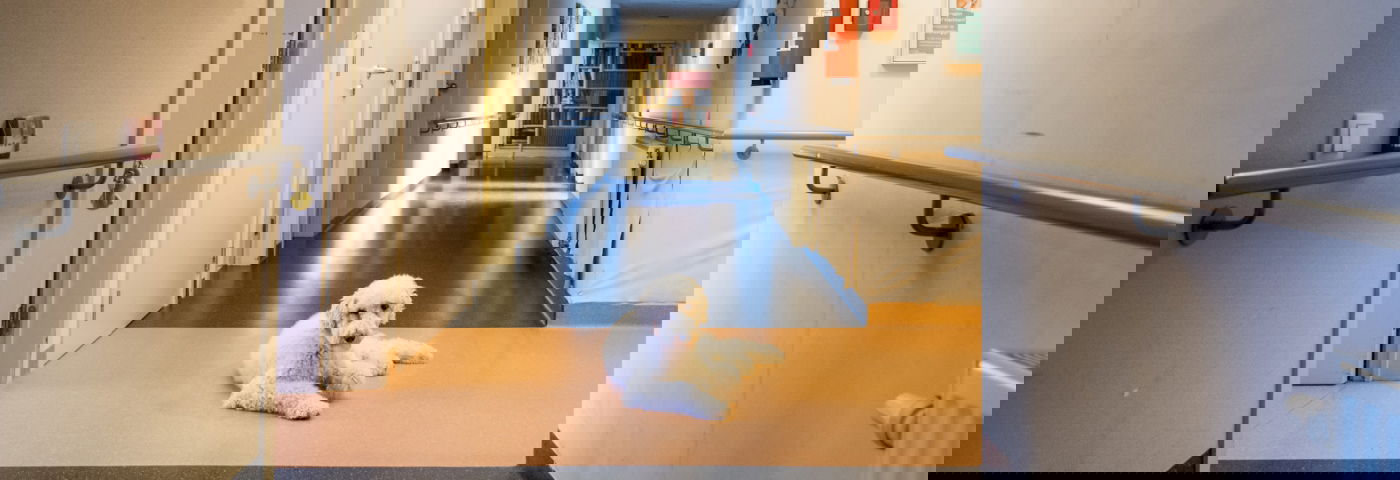 woonzorgcentra_arbeidsorganisatie_c