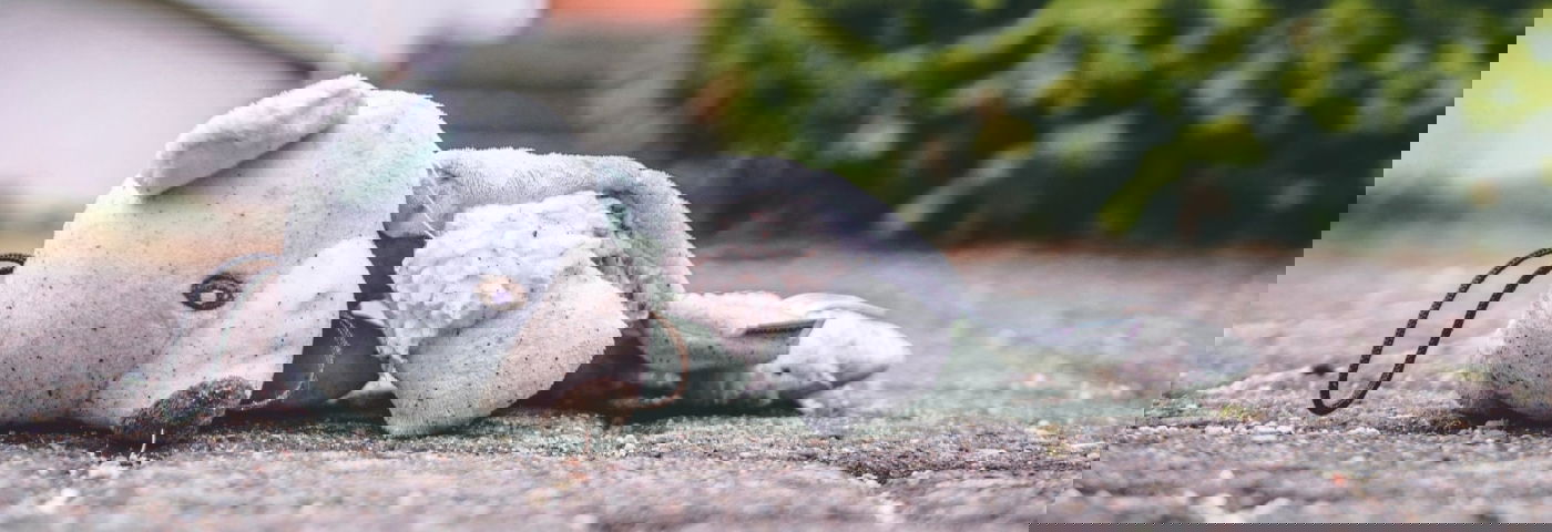 OCMW-maatschappelijk werkers