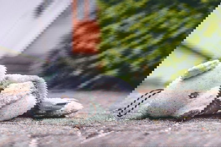 OCMW-maatschappelijk werkers