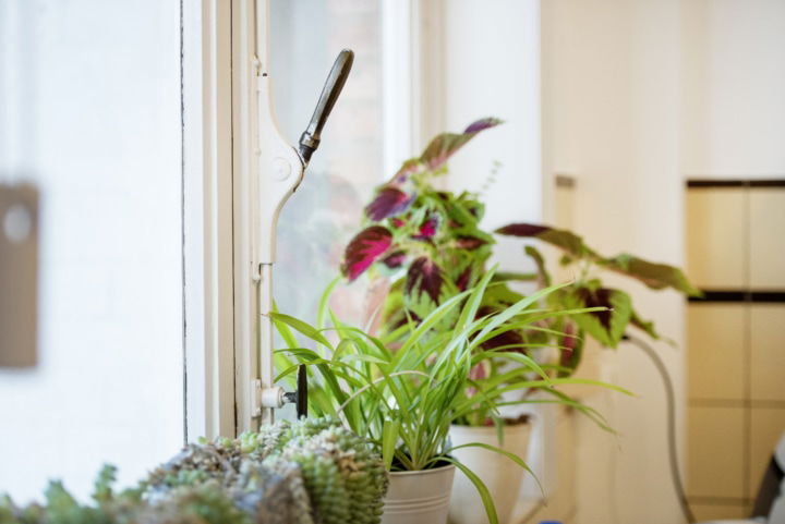 Ondraaglijk psychisch lijden