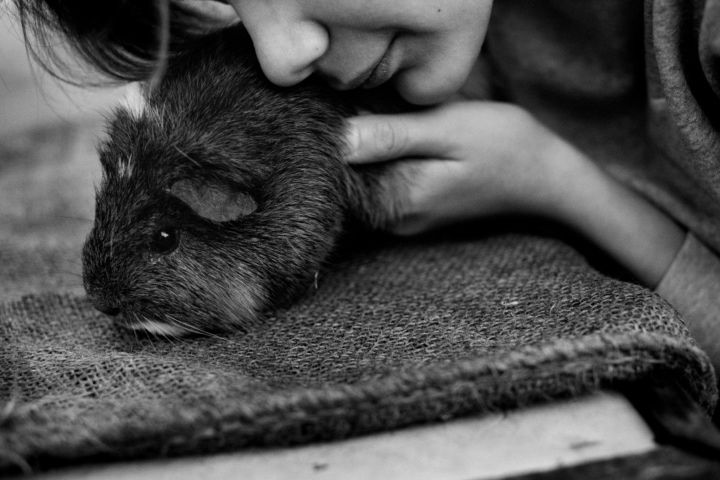 jongeren met complexe problematieken