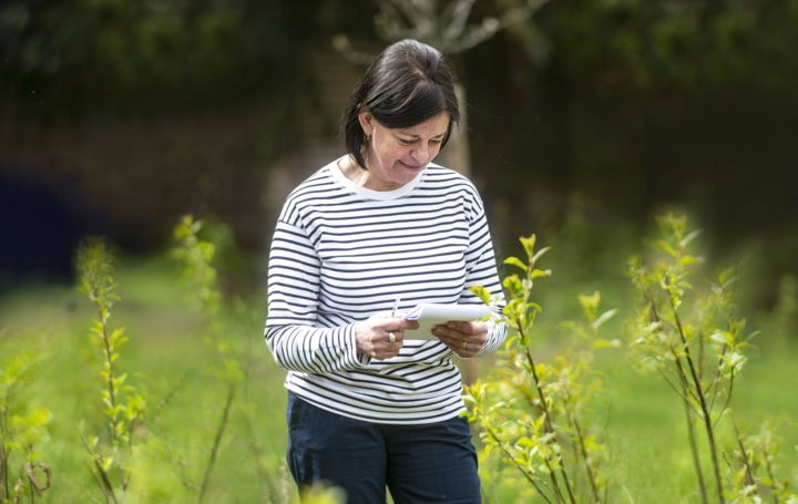 Sabine Bourgeois, Oranjehuis Kortrijk