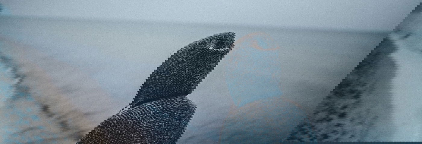 psychische kwetsbaarheid