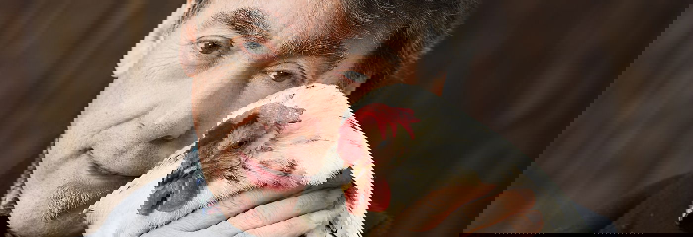 Michel Vandenbosch GAIA