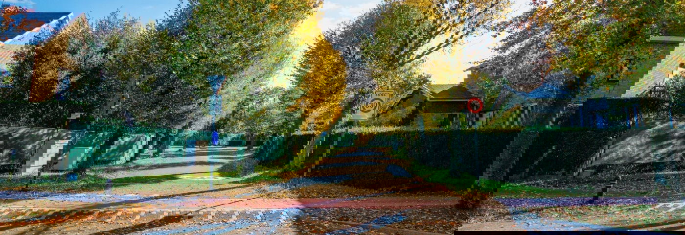 De-institutionalisering