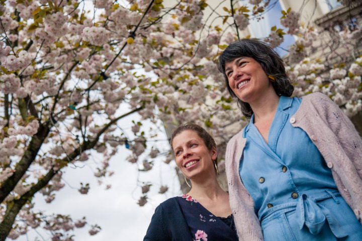 Progress Lawyers Network