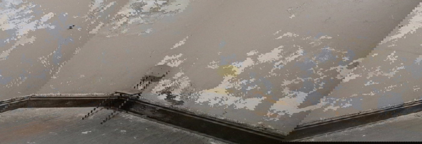 toerekeningsvatbaarheid