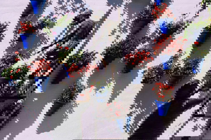 forensisch welzijnswerk