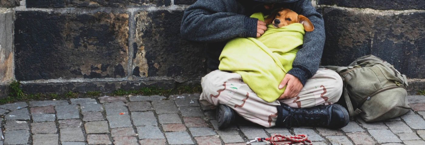 Persoon zit op straat te bedelen met hond
